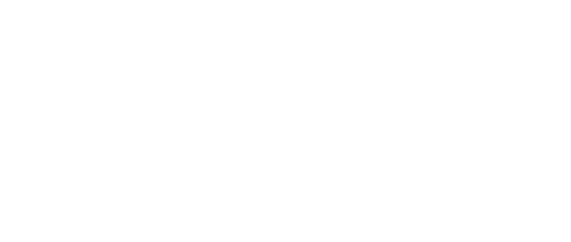 PANDORA ARMS